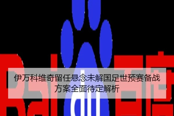 伊万科维奇留任悬念未解国足世预赛备战方案全面待定解析